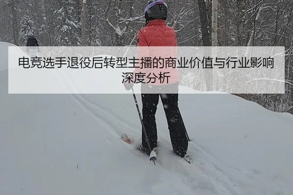 dian-jing-xuan-shou-tui-yi-hou-zhuan-xing-zhu-bo-de-shang-ye-jia-zhi-yu-hang-ye-ying-xiang-shen-du-fen-xi-2-550.jpg